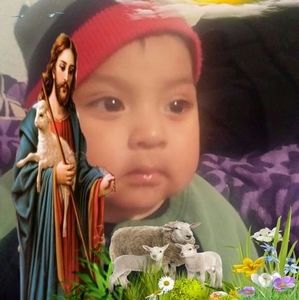 Meet your Posher, Benjamin